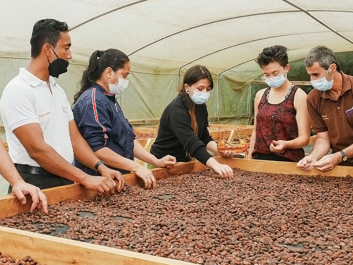 mindo ecuador chocolate tour